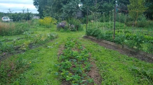 IMG_20220711_140525150