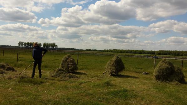 hooitijd